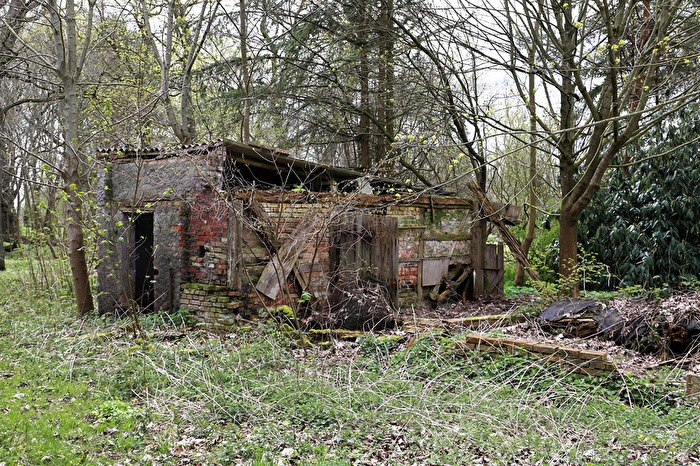Ruine in der Natur