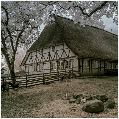 HAMBURGS NORDEN IM UNSICHTBAREN LICHT