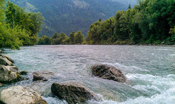 Wasser