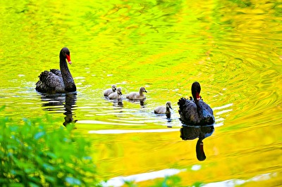 Familienausflug