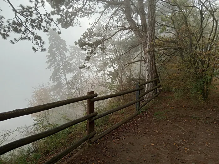 In the fog, you see differently