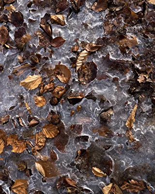 Eis