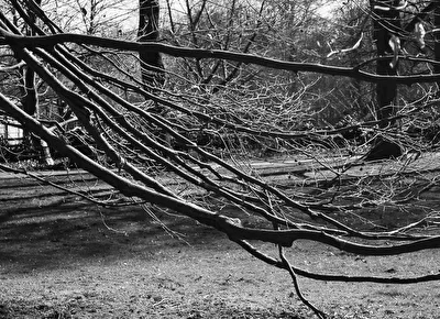 ohne Titel