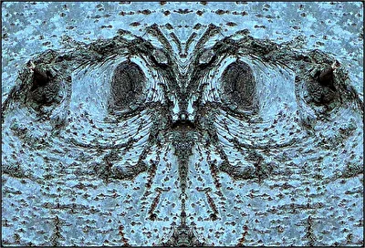der verblüffte schmetterling