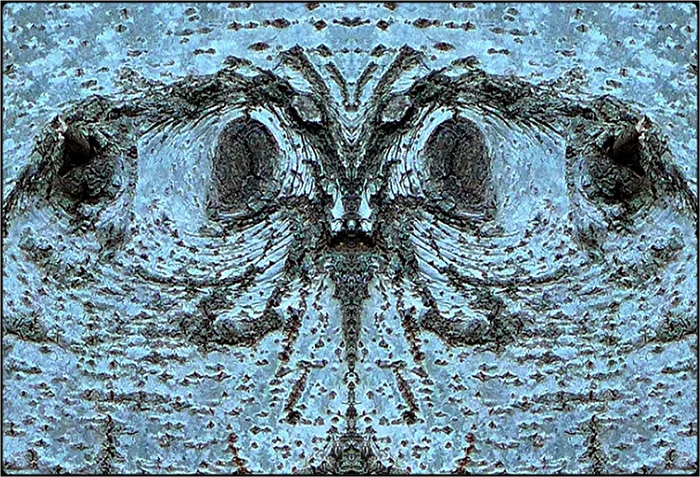 der verblüffte schmetterling