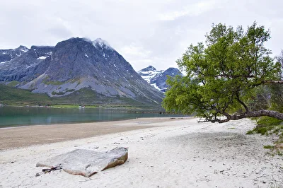Fernweh Landschaft - Sommer in Nord-Norwegen