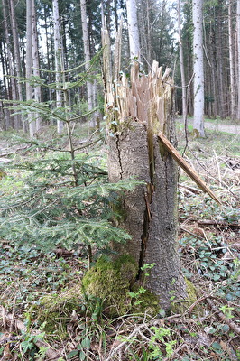 ohne Titel