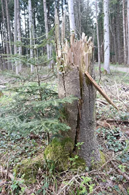 ohne Titel