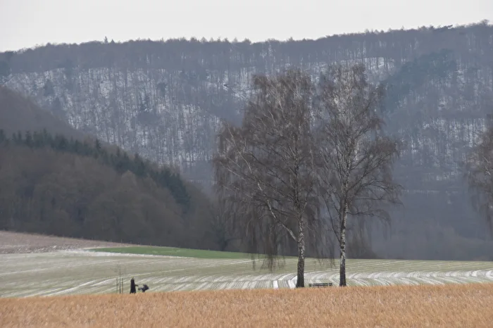 Paesaggio invernale