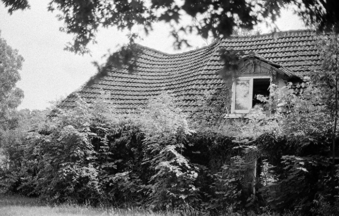 Das alte Haus