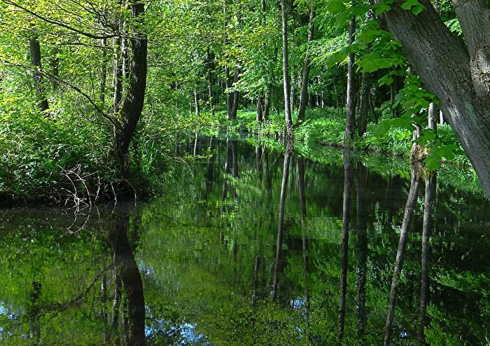 Wildnis