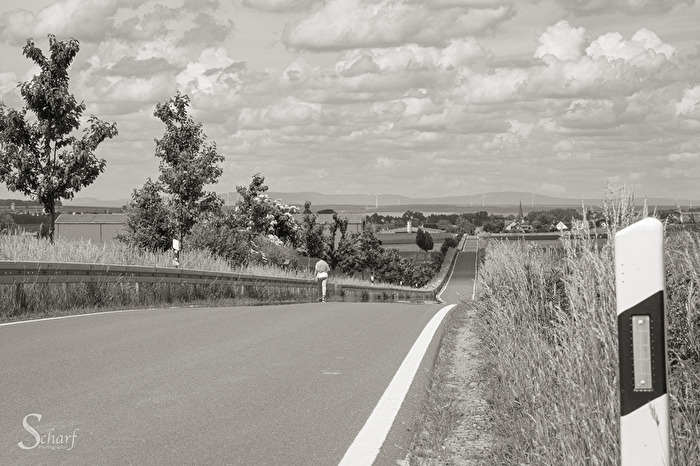 Auf dem Weg ins bunte Leben