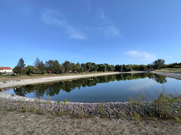 renatured pond