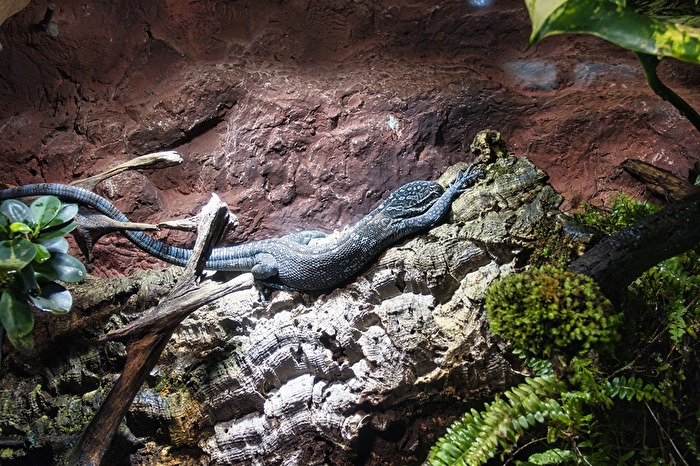 Ich muss mich ausruhen