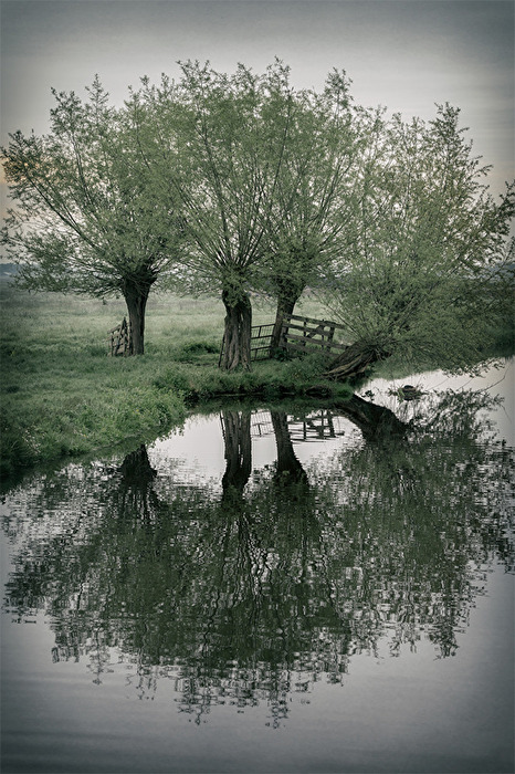 gespiegelt