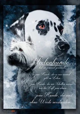 Seelenhunde