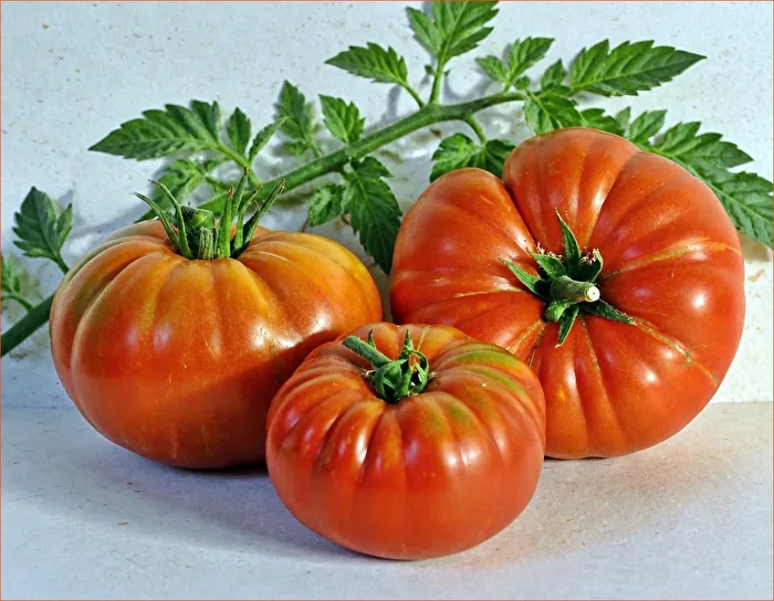 ripe