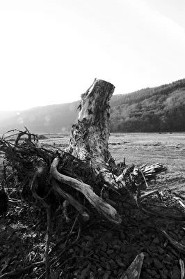 Stille nach der Flut