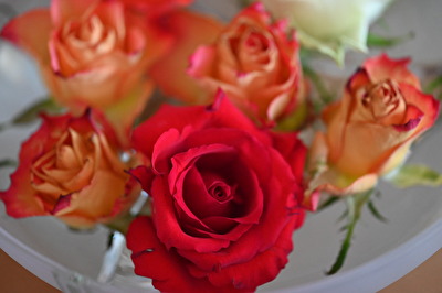 Arrangement 2