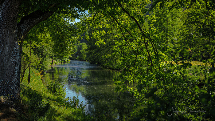 An der Nagold