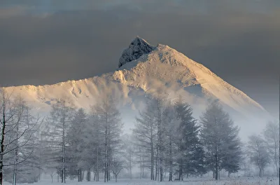 Schnee und Nebel fast wie im Winter.