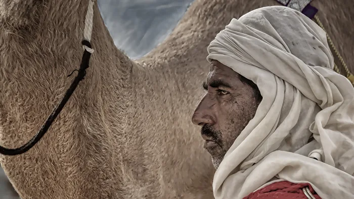 The Arab and the Camel 2