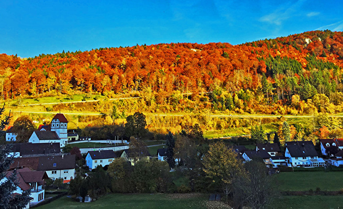 Fotowettbewerb 10/25 Herbstfarben