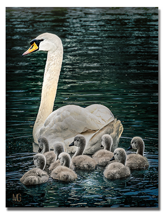 "8" auf einen Streich.....