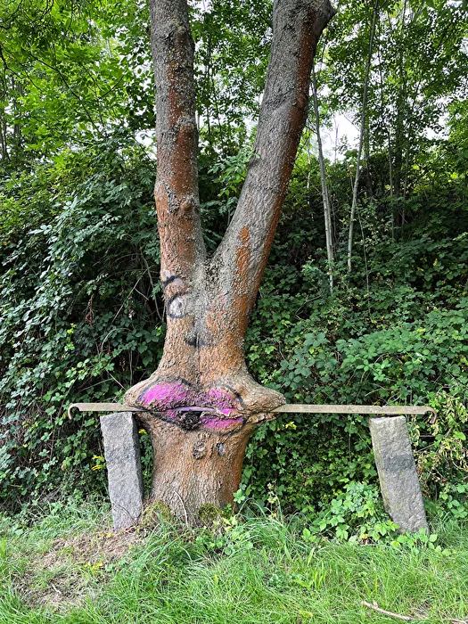 Naturgewalt