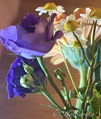 Blumengeflüster
