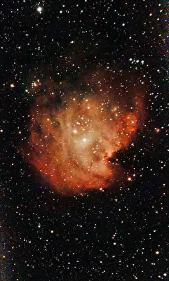 NGC 2175