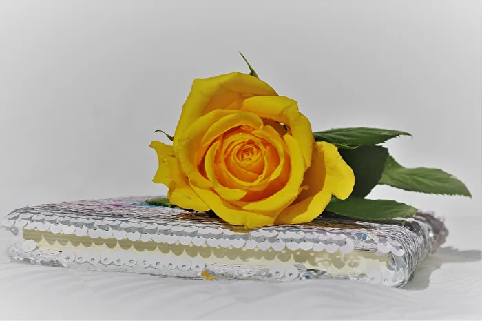 Yellow Rose Salad