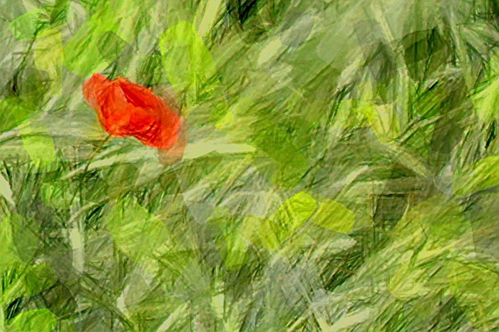 rot