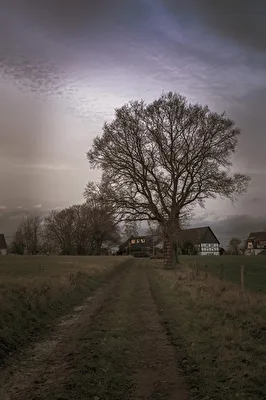 Heimat