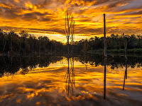 Sonnenaufgang am Pfingstsee