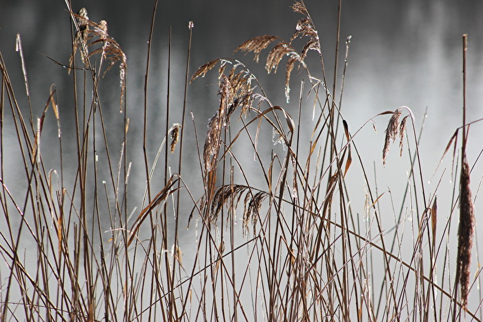 ein Hauch vom Winter