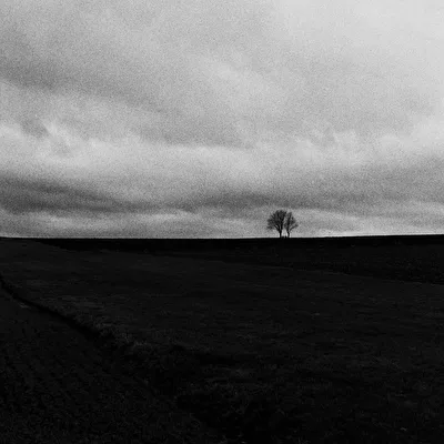 ohne Titel