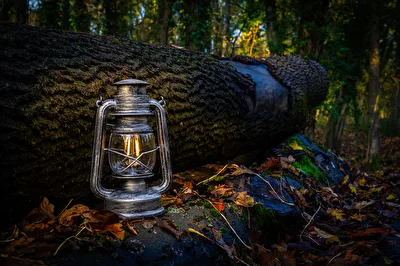 Laterne im Wald