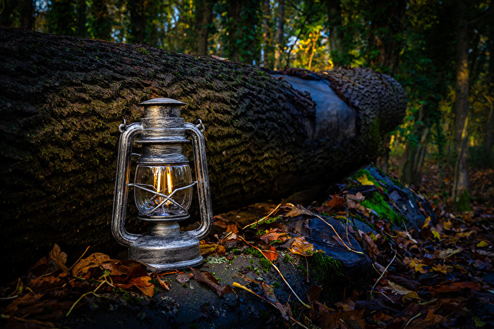 Laterne im Wald