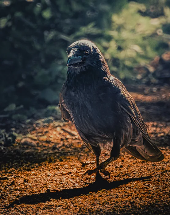 I'm walking