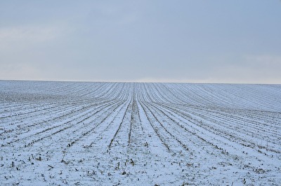 Weinviertler Berge im Schnee