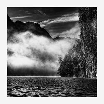 Die Wolke