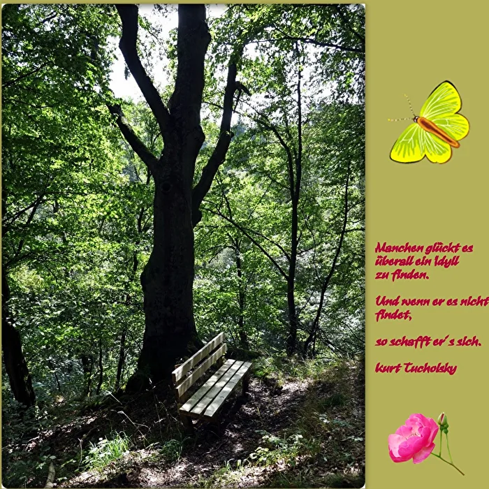 der Spruch