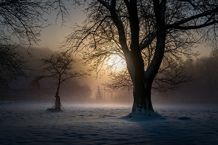 Schnee im Wienerwald Wintersonne