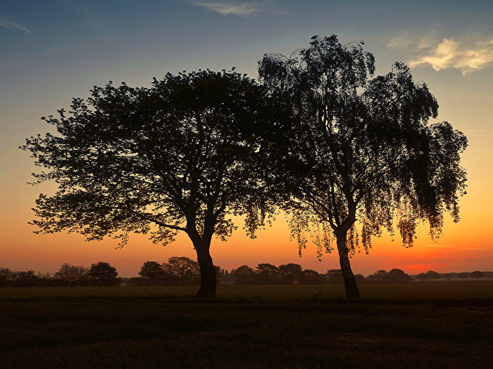 ABENDSTIMMUNG IN OLFEN