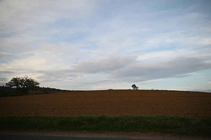 Weites Land