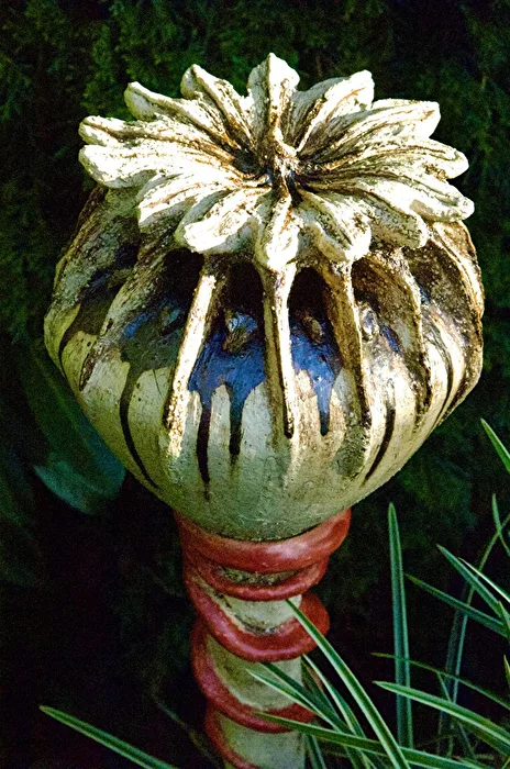 Poppy Capsule