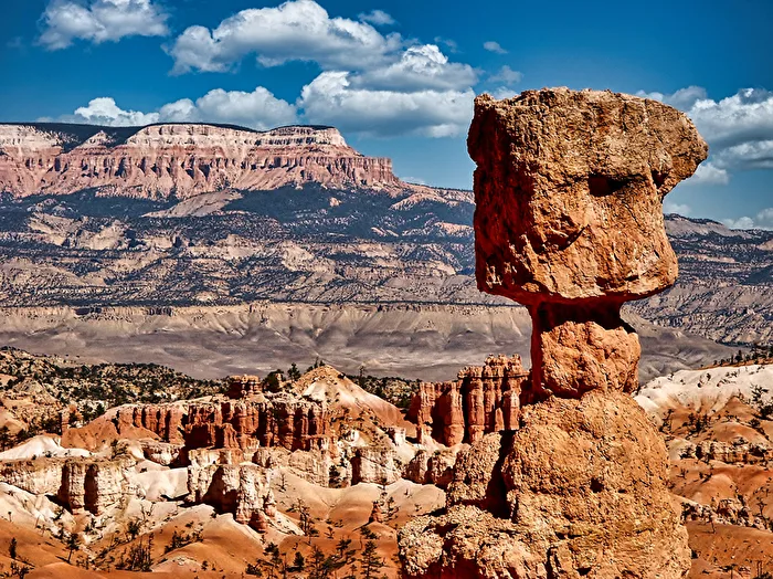WildWest
