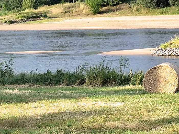 Niedrigwasser der Elbe