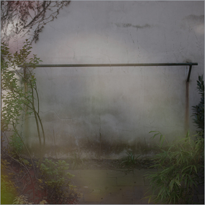 Backyard on a grey and rainy day
